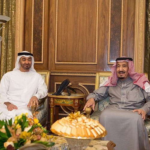 Saudi King, Abu Dhabi Crown Prince Discuss Regional Issues
