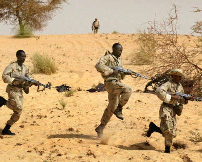 France to Invest $47 Million in Sahel Anti-Terror Training 