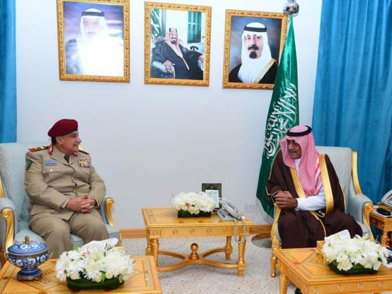 Saudi Deputy Crown Prince Meets Yemeni Defense Minister