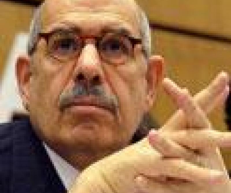 Egypt Eyes ElBaradei for a National Salvation Government