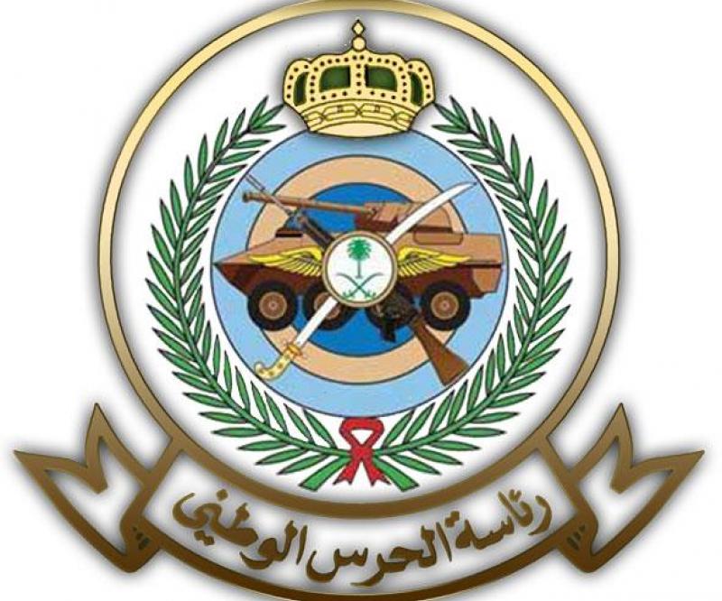 US to Continue Saudi National Guard Modernization