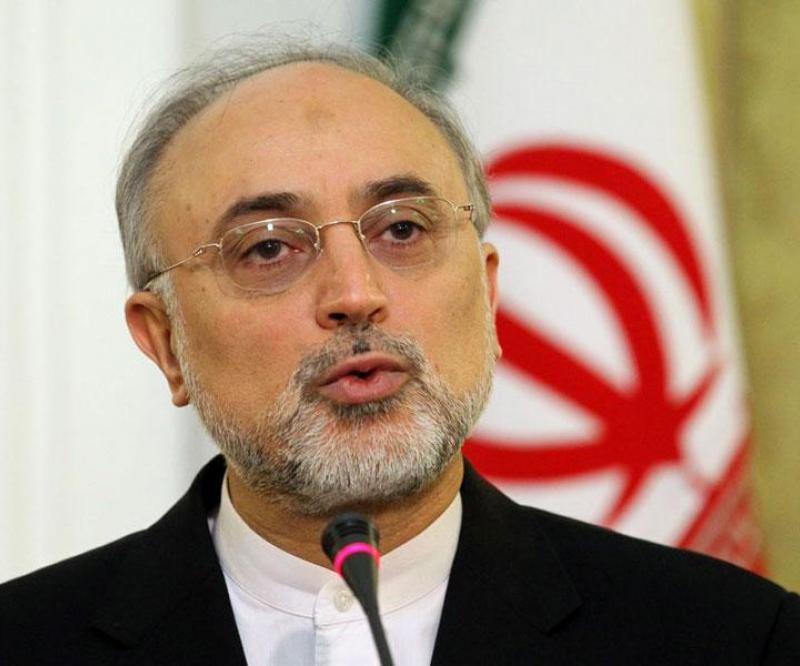 Iran Names Salehi to Head Nuclear Program
