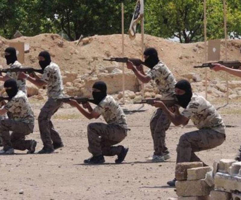 Turkey to Delay Training of Syrian Rebels