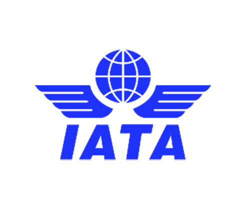 IATA: Aviation Industry Losses to Top $84 Billion in 2020
