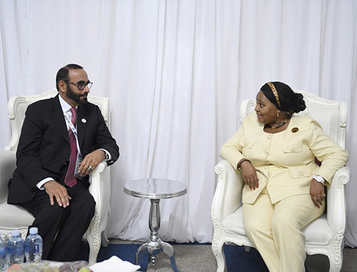 UAE, South Africa Discuss Defense Cooperation