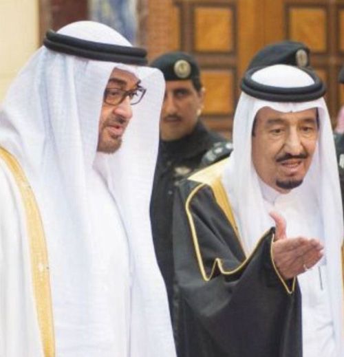 Saudi King, UAE Crown Prince Hold Talks