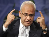 Arab FMs to Urge ‘Yes’ Vote on Palestinian UN Bid