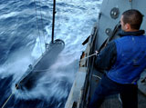 New Testing Milestone on Lockheed’s Minehunting System