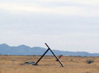 LM