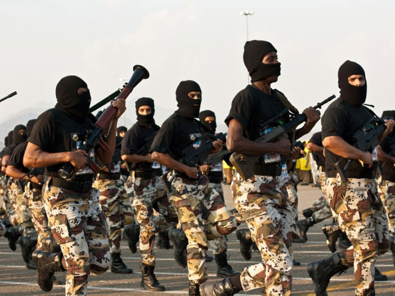 Homeland Security Market in Saudi Arabia