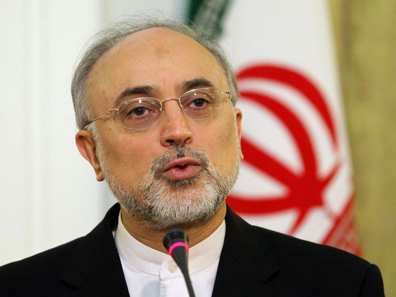 Iran Names Salehi to Head Nuclear Program