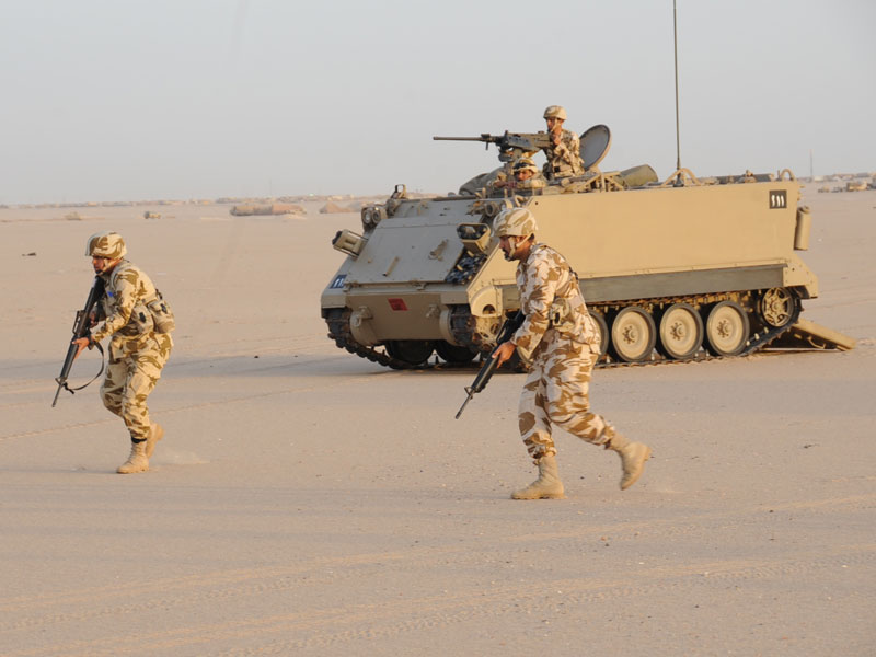 Egypt, Jordan Potential Members of Peninsula Defense Shield