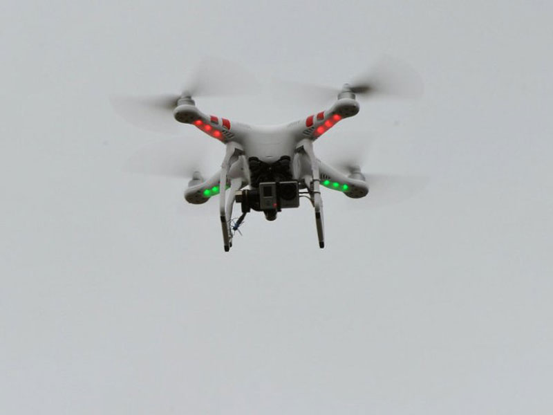 US to Create Bird-Like Drones for Indoor Operations