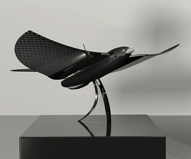 French Defense Ministry Finances ‘BIOFLY’ Bird-Like Stealth Drone Project