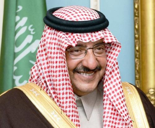 Saudi Crown Prince Patronizes Tofan VII Maneuver