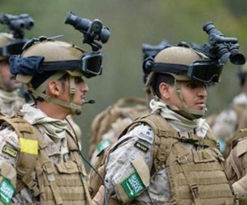 Saudi Arabia, France Start Joint Military Drills in the Alps