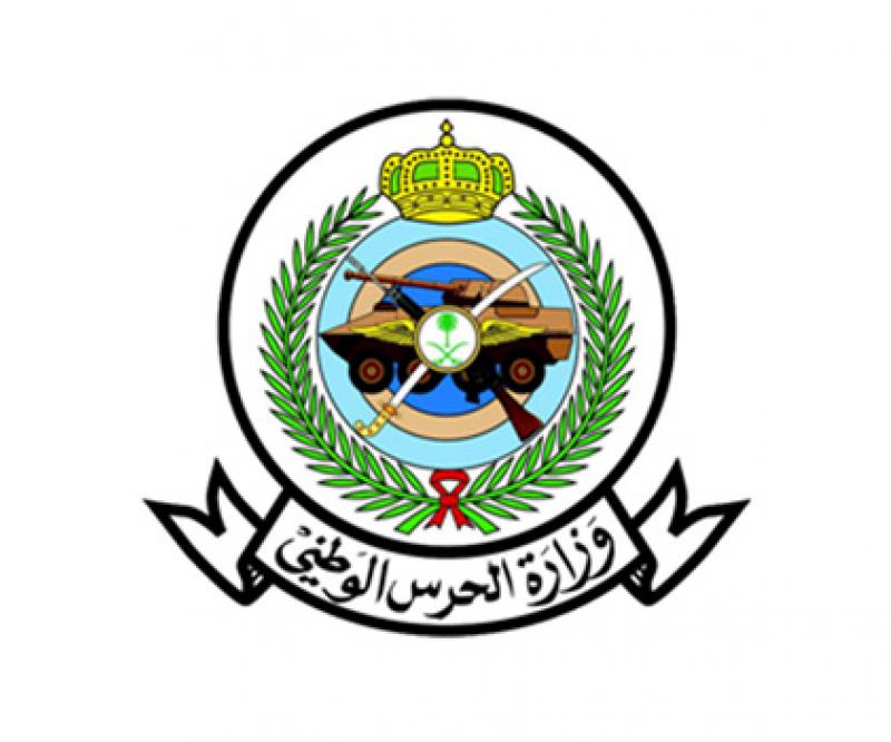 Saudi Arabia Names New Chiefs of National Guard, Navy 