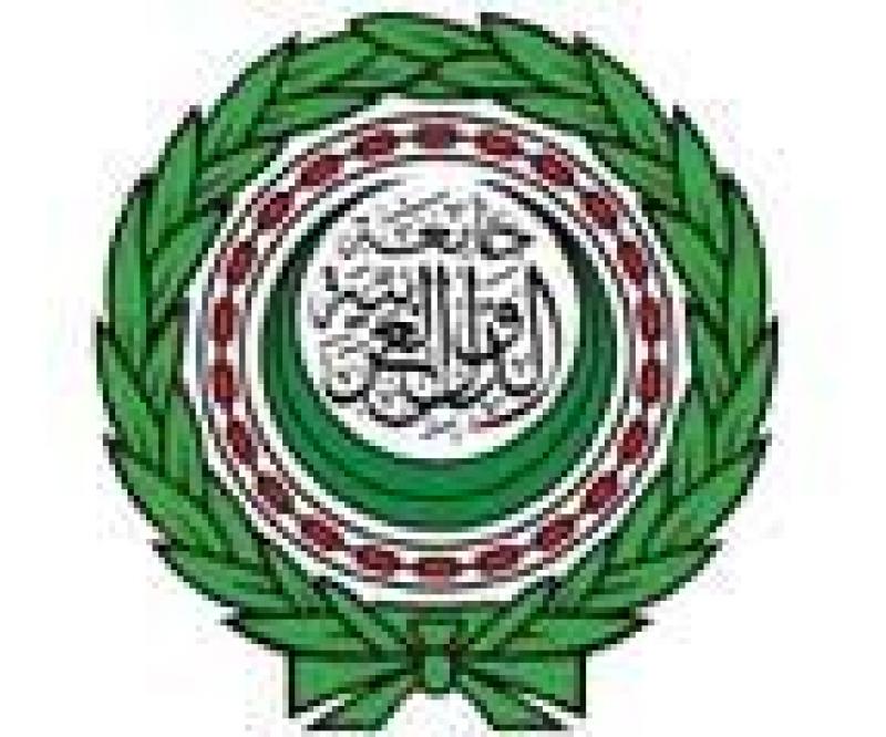 Arab League Criticizes Strikes on Libya