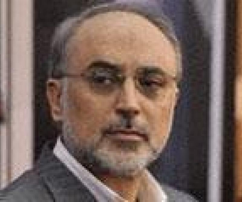 Salehi: Iran has no Problem with Saudi Arabia