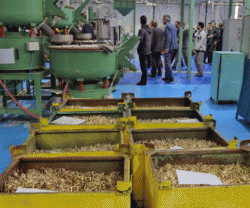 Iran Eyes Exporting Small-Caliber Ammunition 