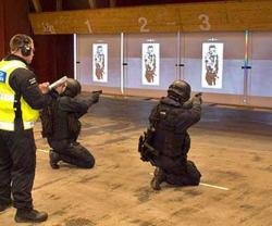 Cubic Acquires Assets of Advanced Interactive Systems