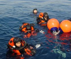 DCI is Committing to the European Union