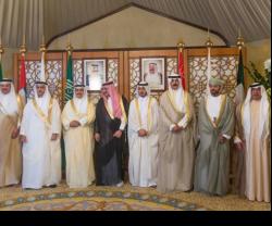 GCC Interior Ministers Approve Plan for Joint Police Force