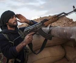 Germany Has No Plans to Supply Arms to Syria to Fight ISIS