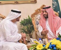 Saudi Defense Minister Receives Abu Dhabi Crown Prince