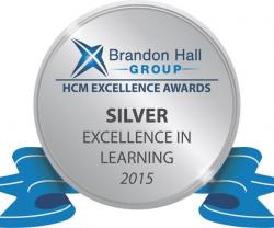 Raytheon Wins Award for Patriot Battery Virtual Training