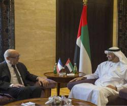 UAE, France Discuss Stronger Military Ties